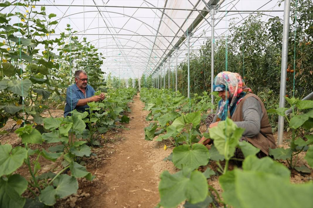 Özelliğini duyan Konya’daki bu bahçeye koşuyor 8